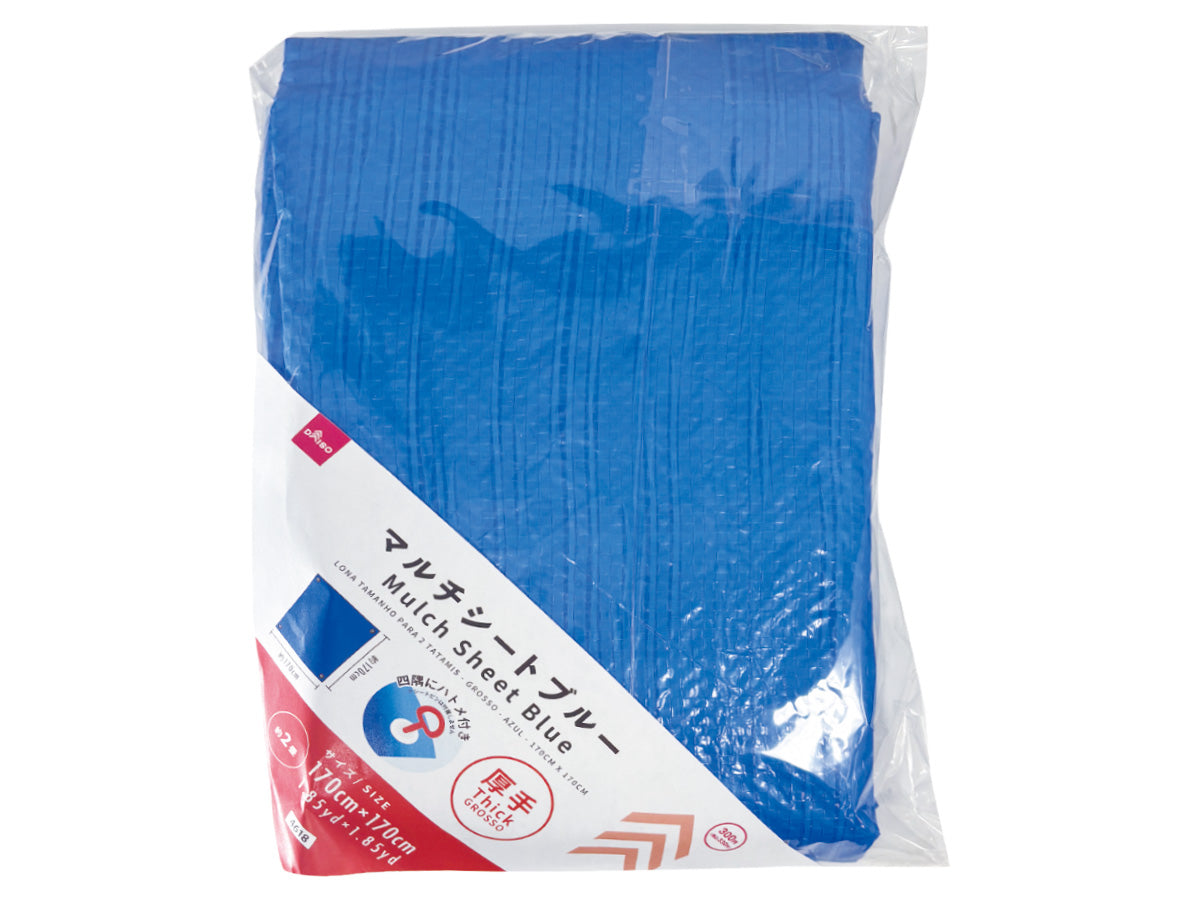 Multi Sheet (Thick, Blue) 171cm x 171cm