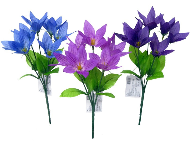 Bellflower Bush