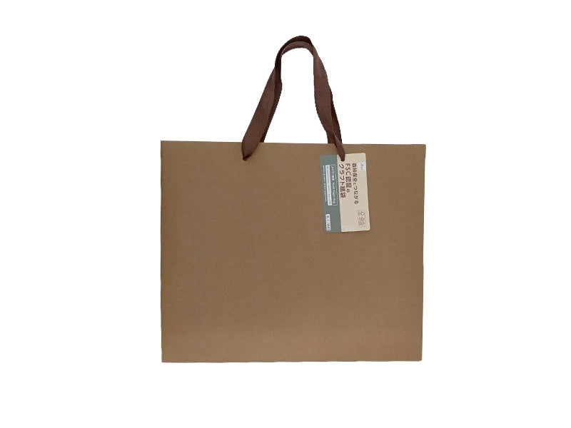 Craft Paper Bag