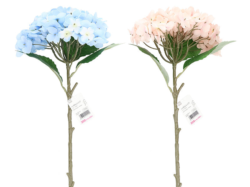 Hydrangea (Noble)