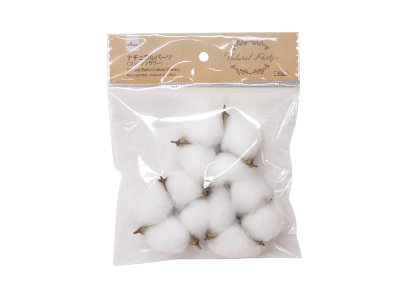 Natural Parts (Cotton Flower)