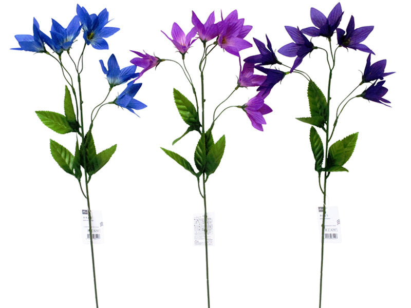Bellflower