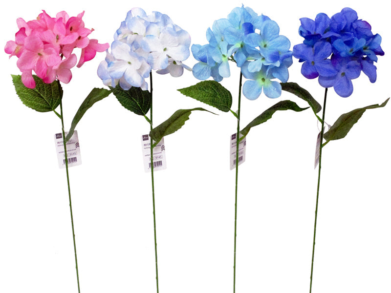 Rain Hydrangea