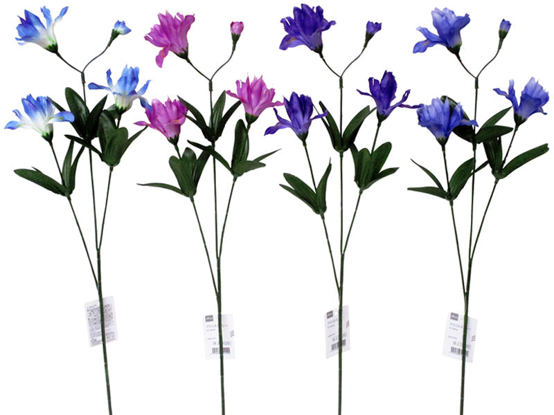 Iris Spray