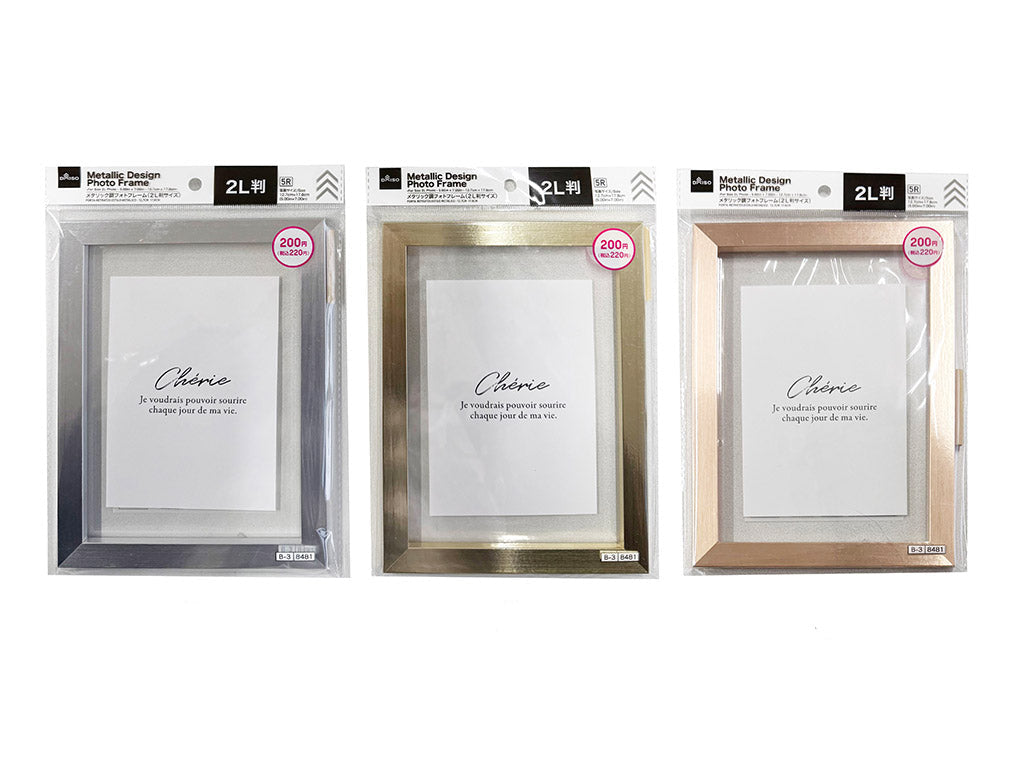 Metallic Photo Frame (2L Size)