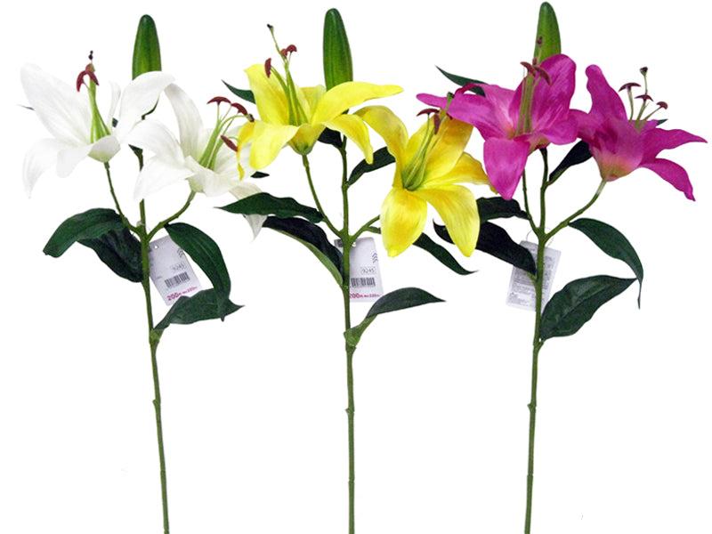 Lily