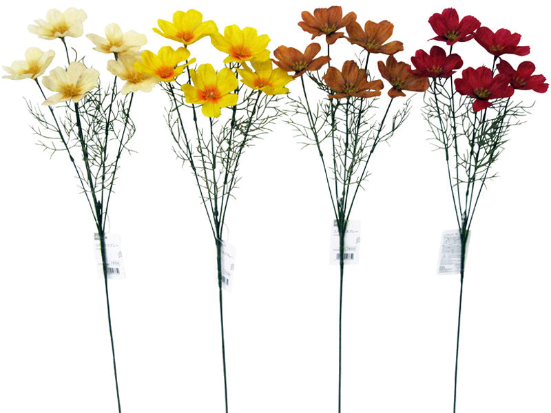 Cosmos Spray