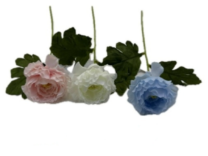 Rose (Single)