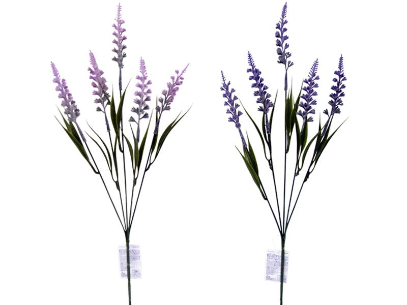 Lavender Bush