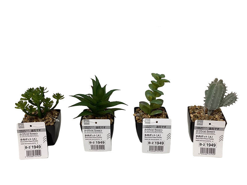 Succulent Pot (A)
