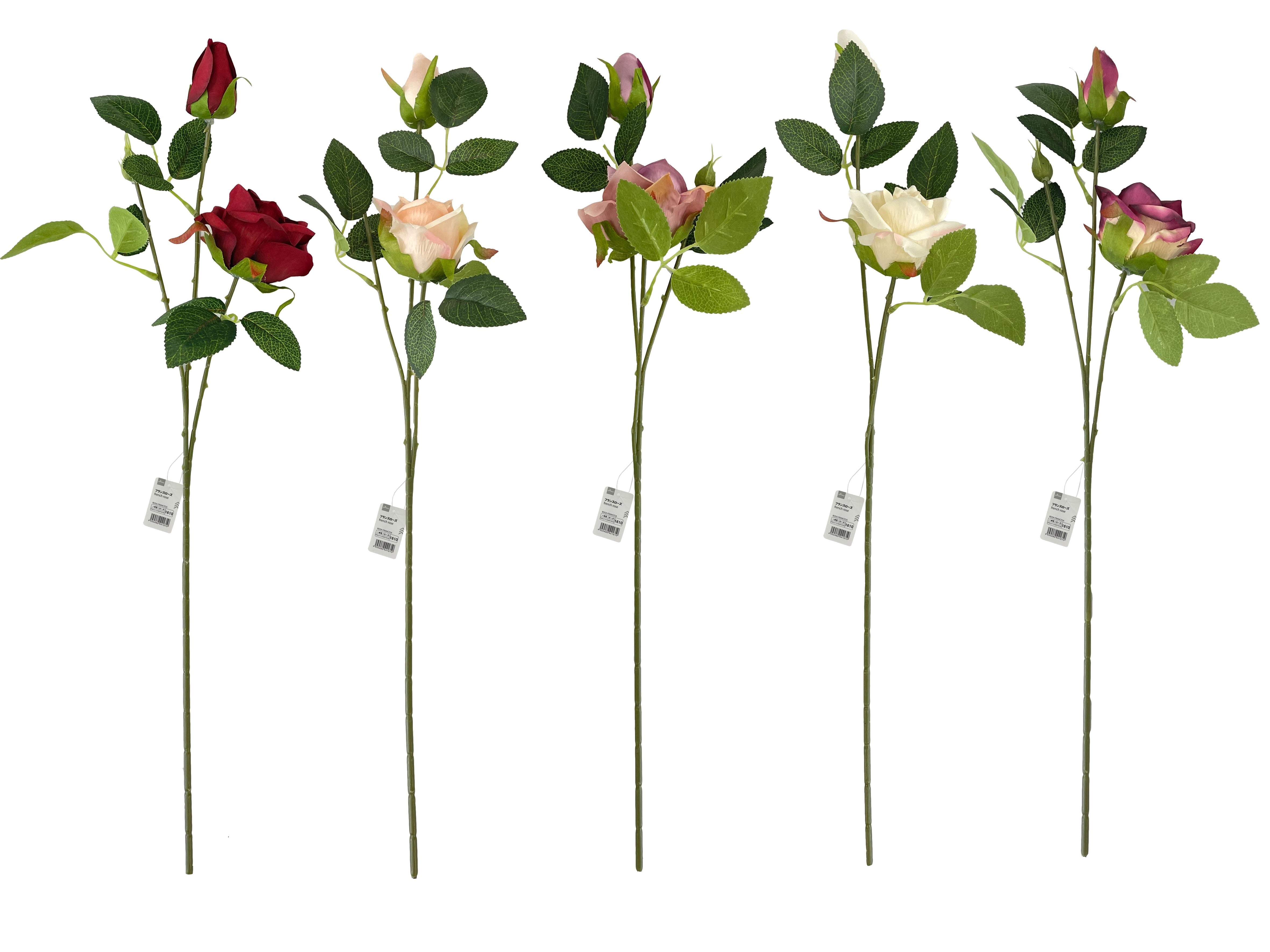 French Rose