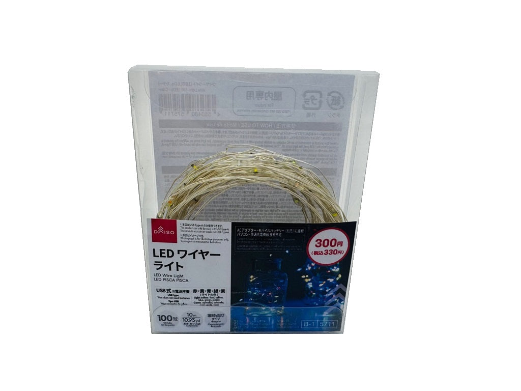 Wire Light (100 LEDs, Color)
