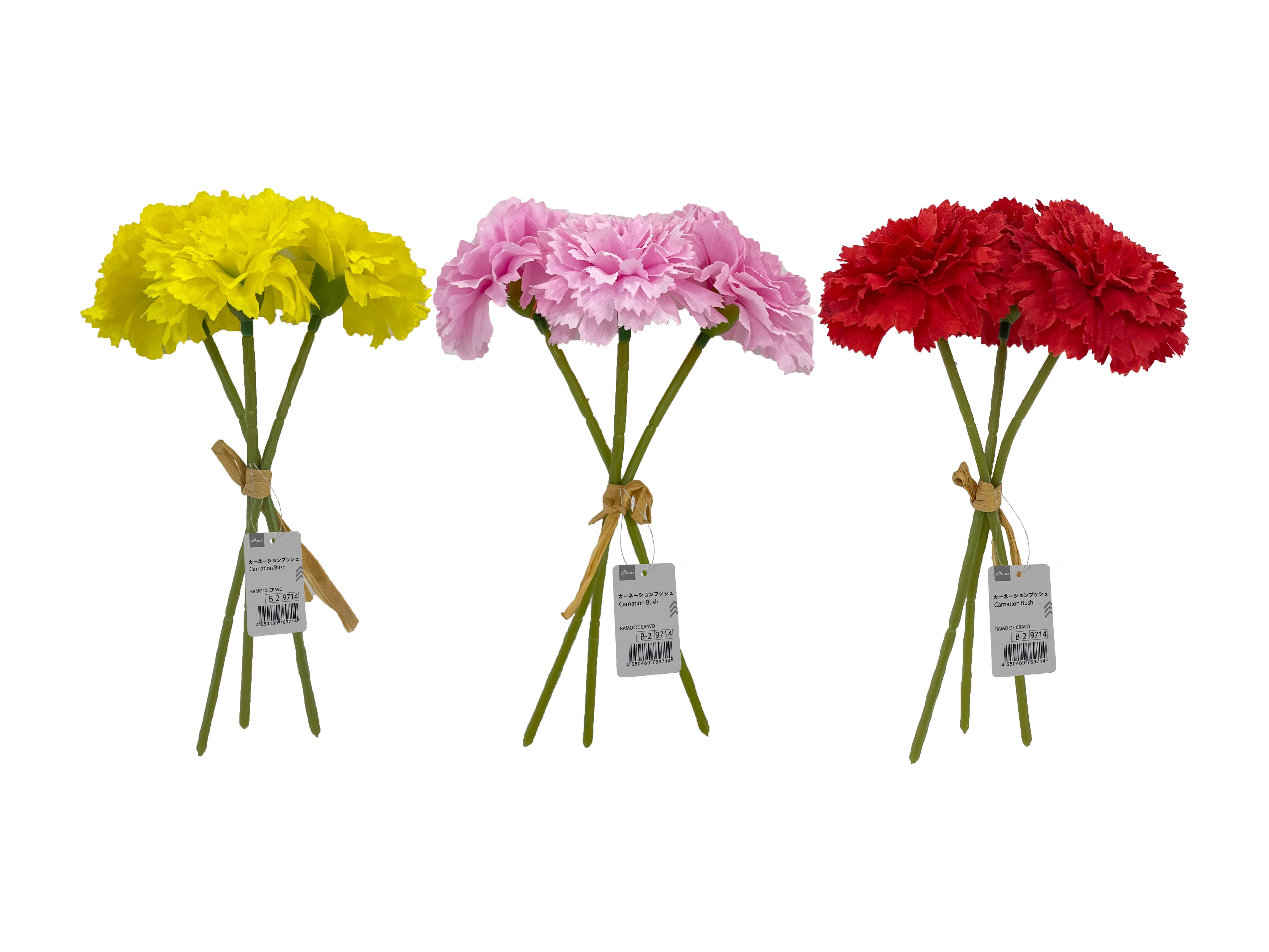 Carnation Bush