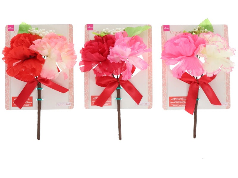 Carnation Pick