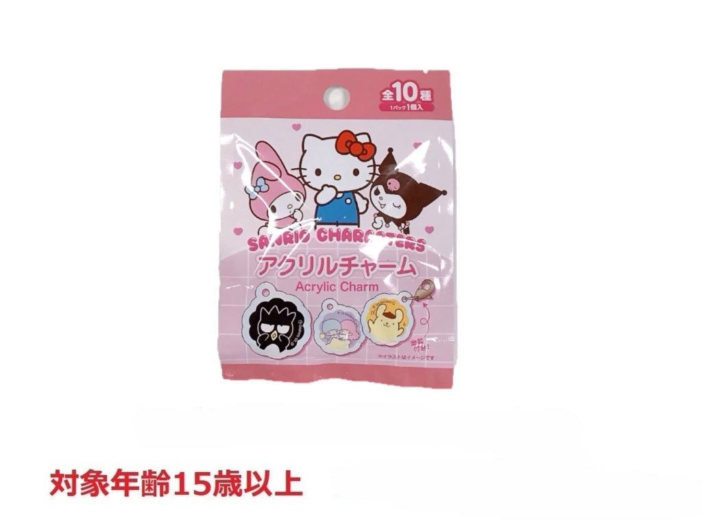 Acrylic Mini Charm Sanrio Characters Standard