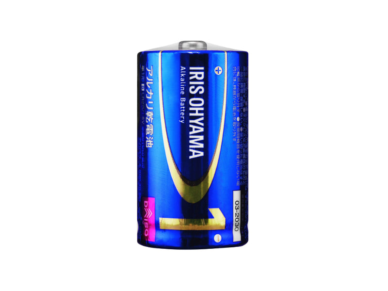 Alkaline Battery (D Cell, Single)
