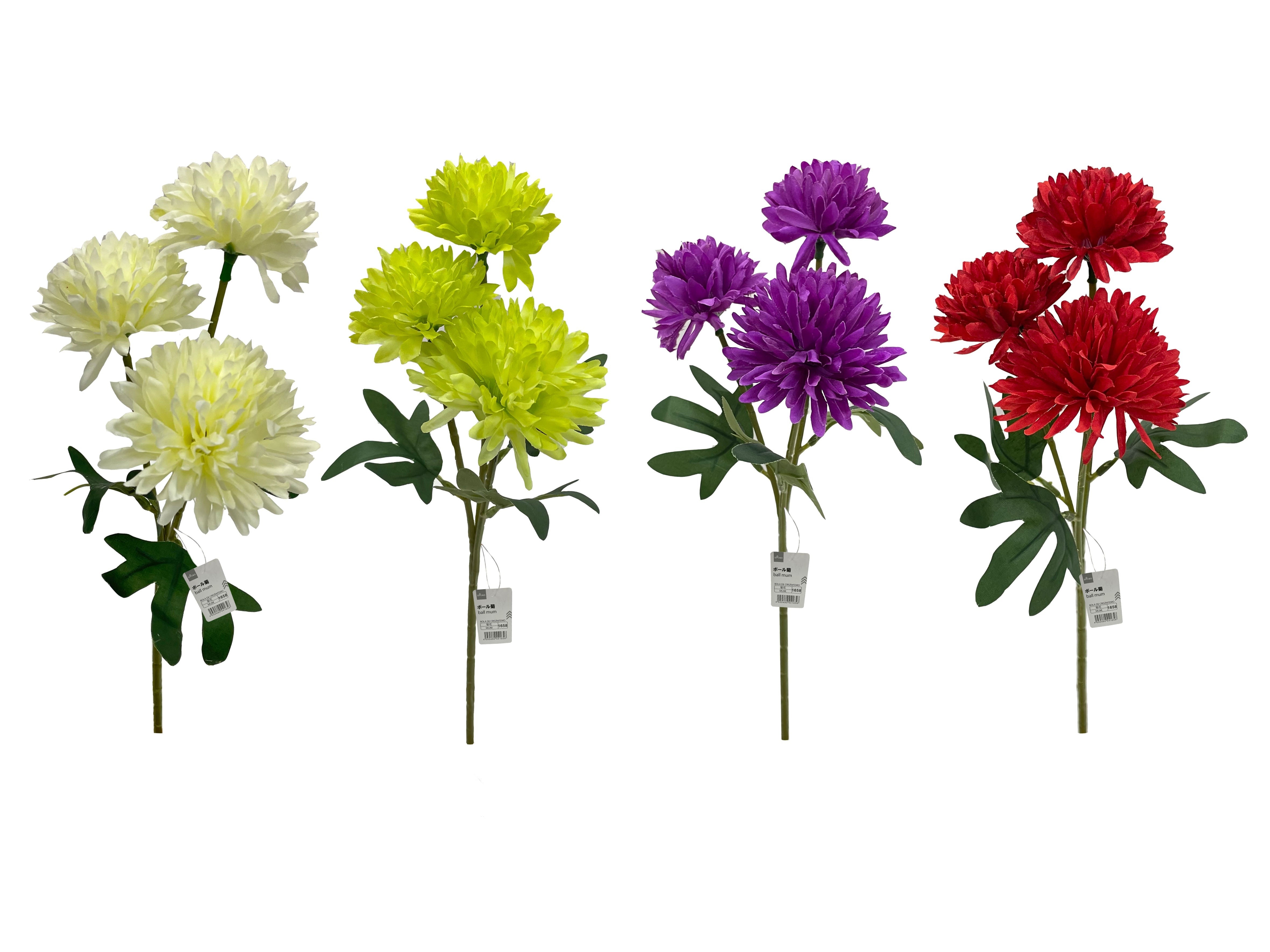 Ball Chrysanthemum