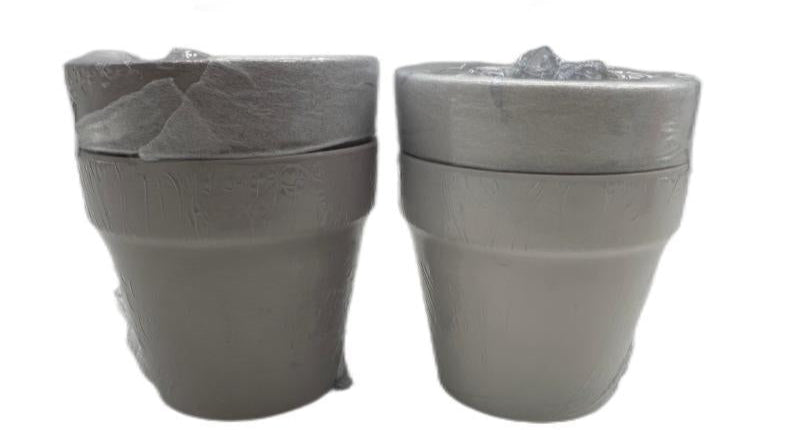 Terracotta Plant Pot (Set of 2)