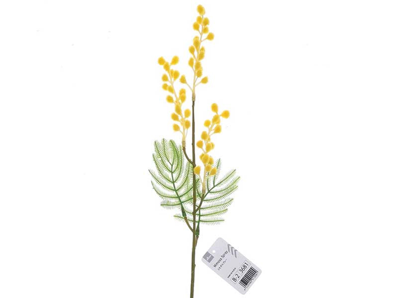 Mimosa Spray