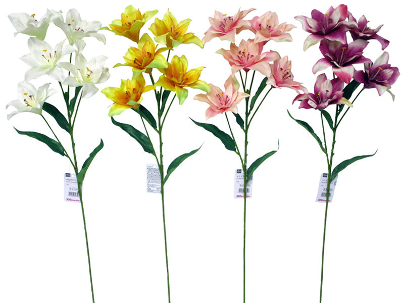 Double Flower Lily