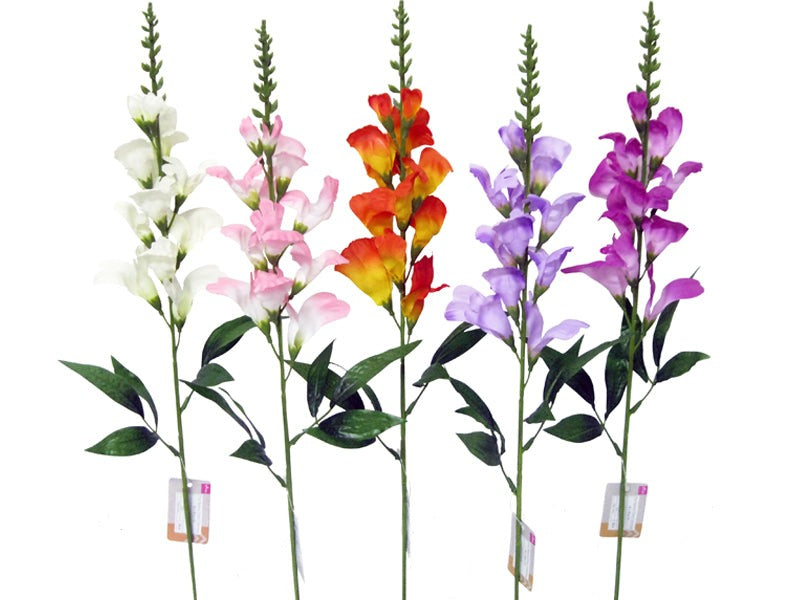 Snapdragon