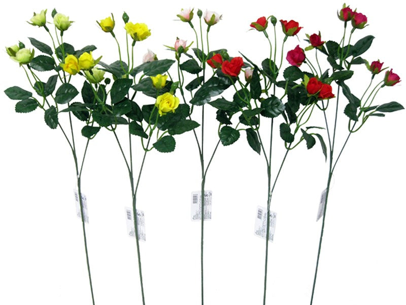 Micro Rose