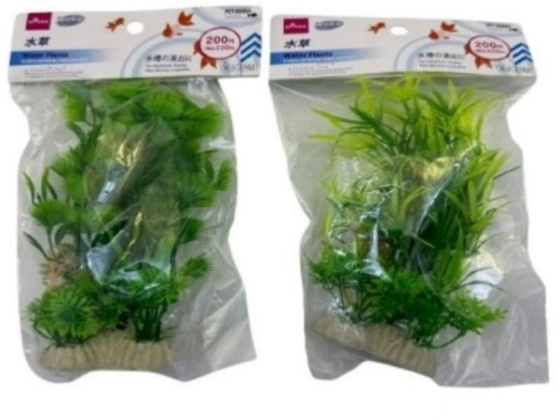 Aquatic Plant (D)