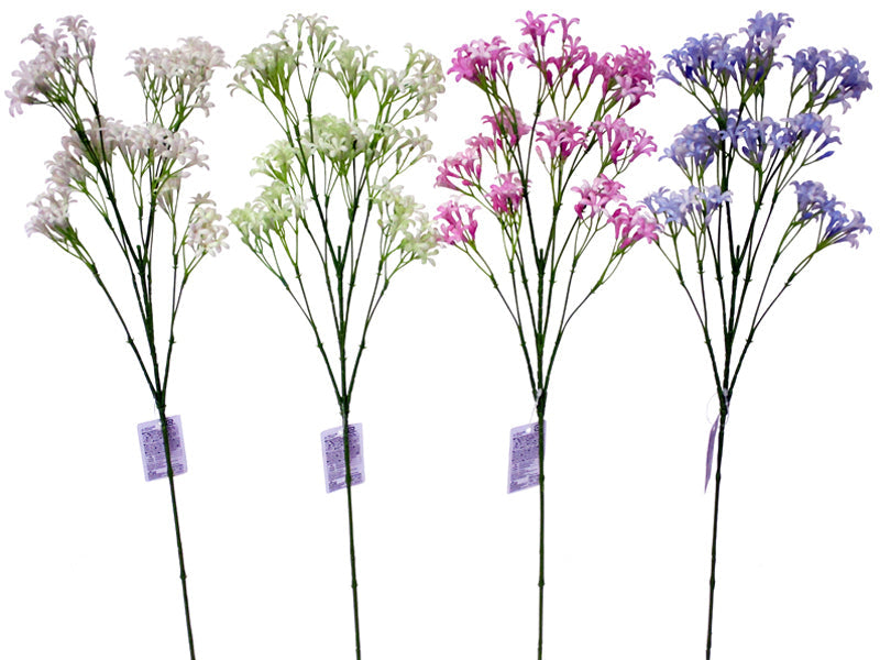 Baby's Breath (Grande)