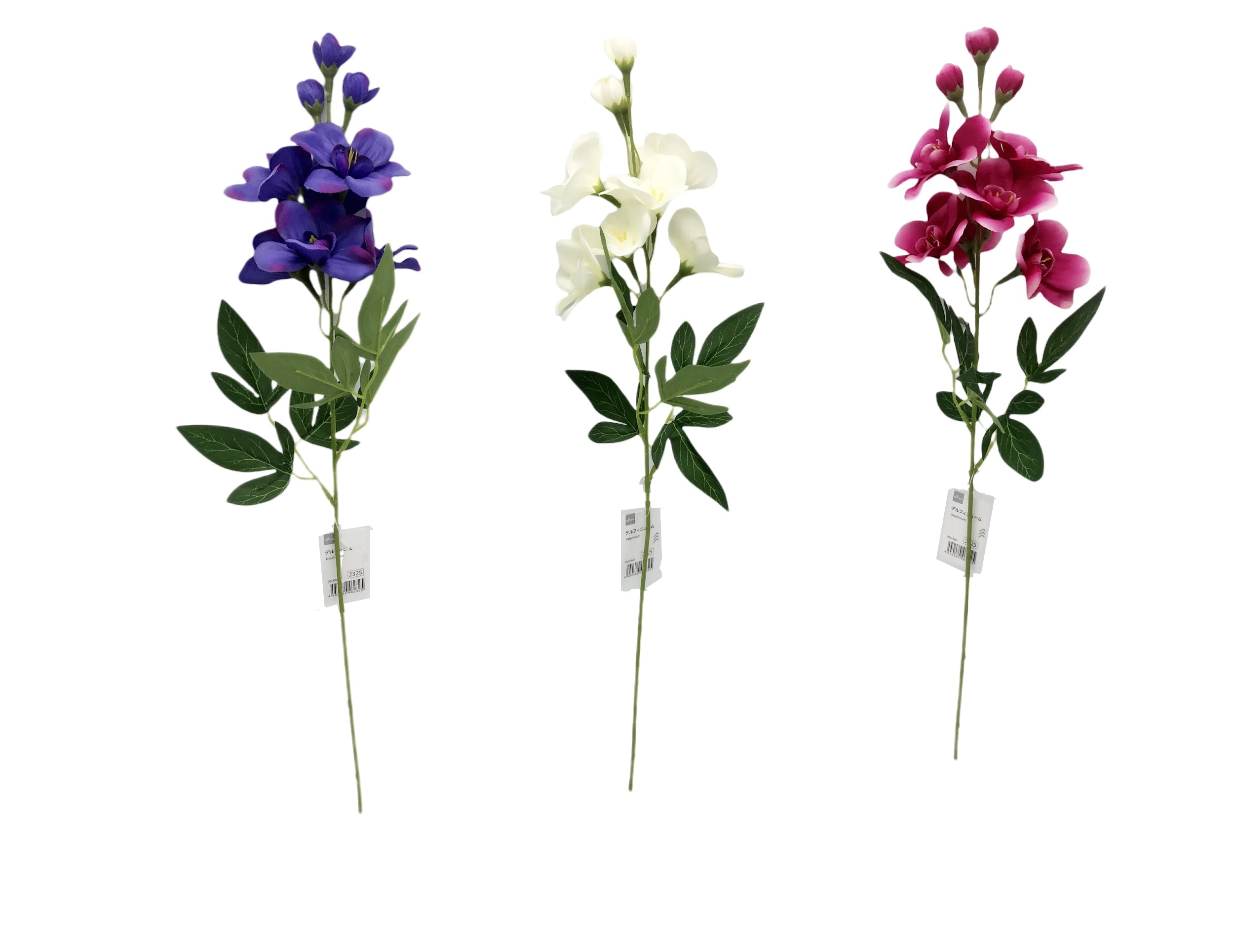 Delphinium
