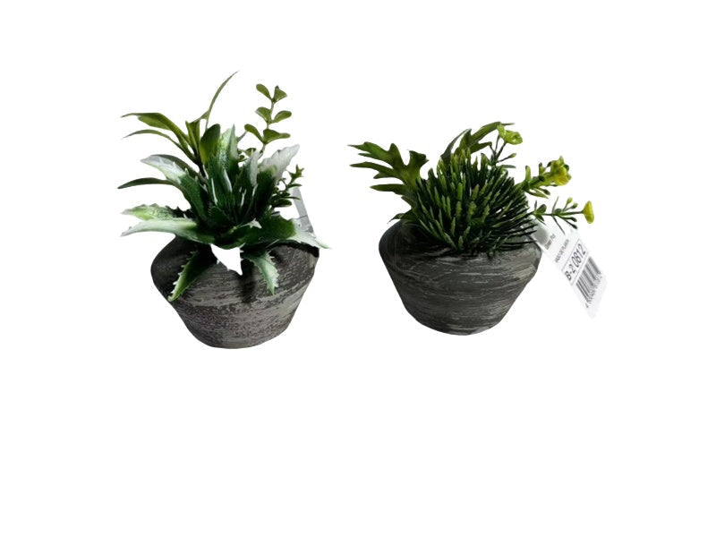 Green Pot