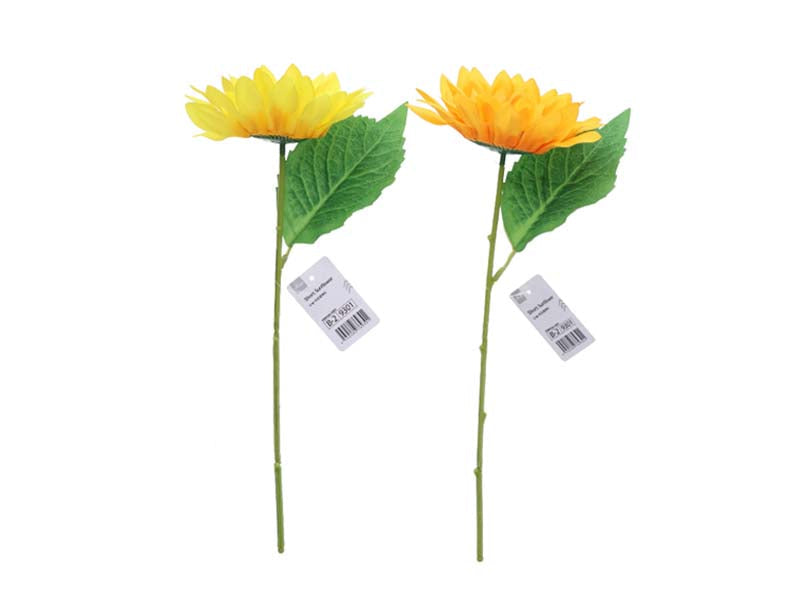 Short Sunflower
