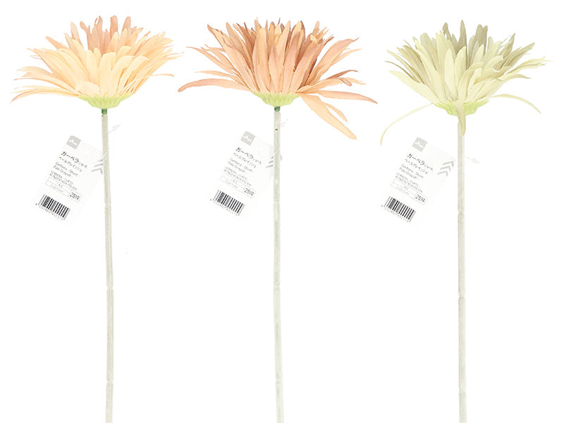 Gerbera (Short, Pale Grayish)