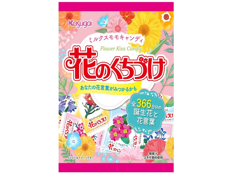Kasugai Flower's Kiss 54g