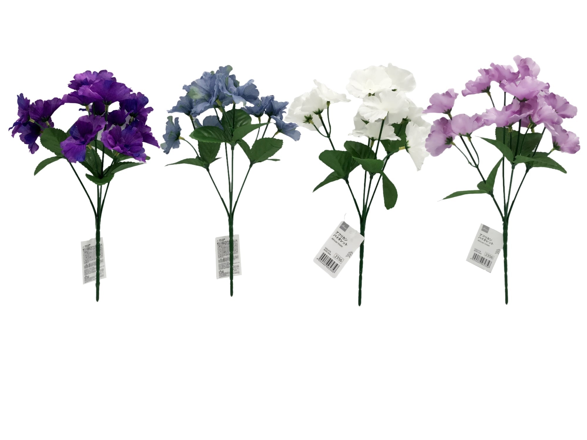 African Violet