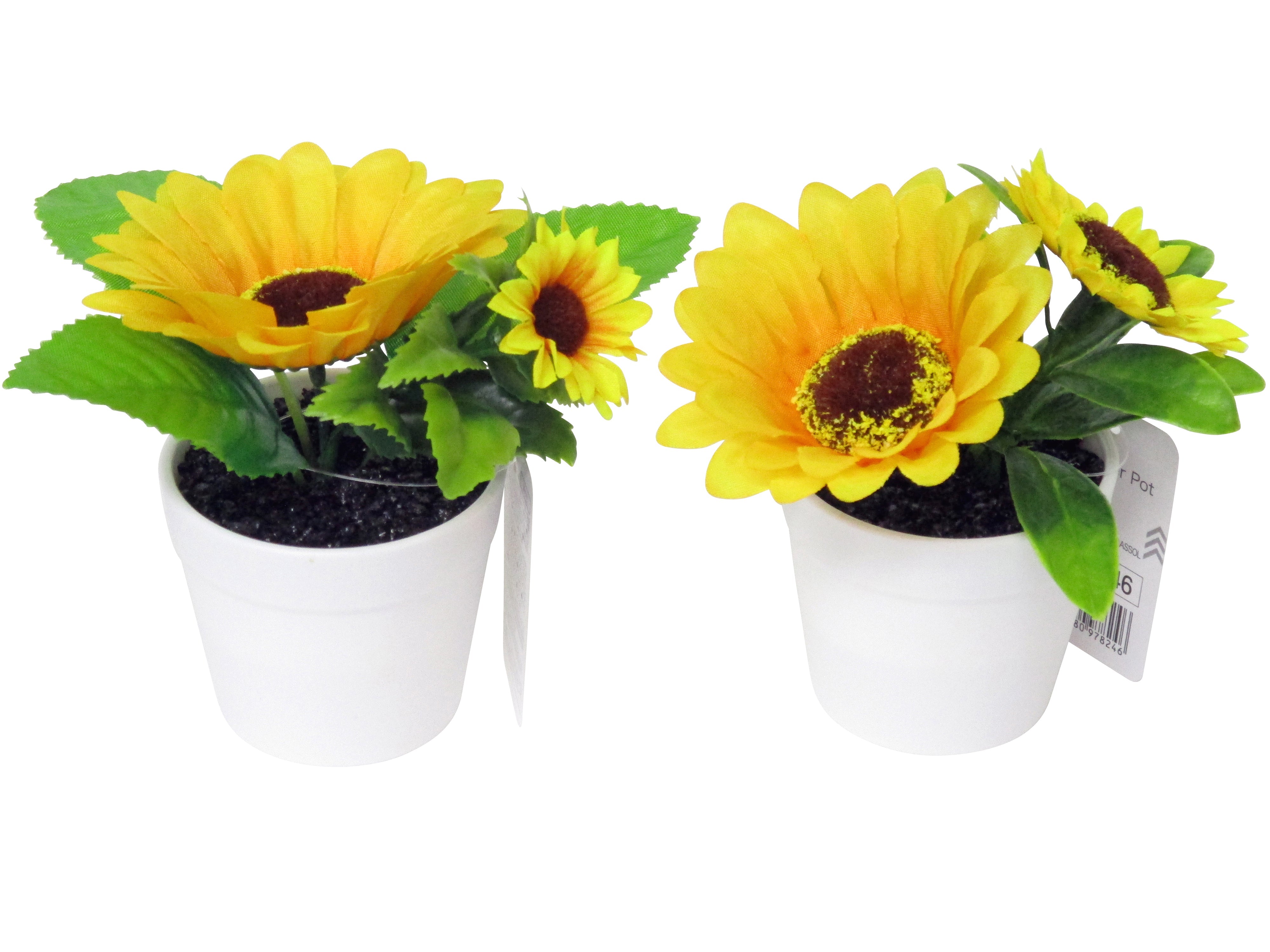 Sunflower Pot