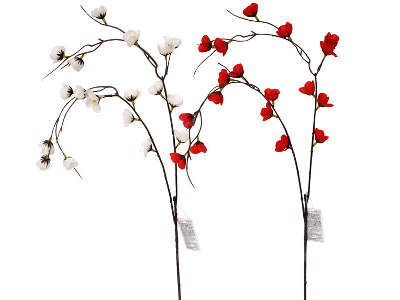 Weeping Plum