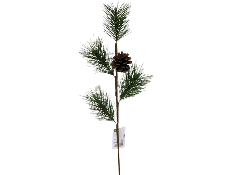 Pine