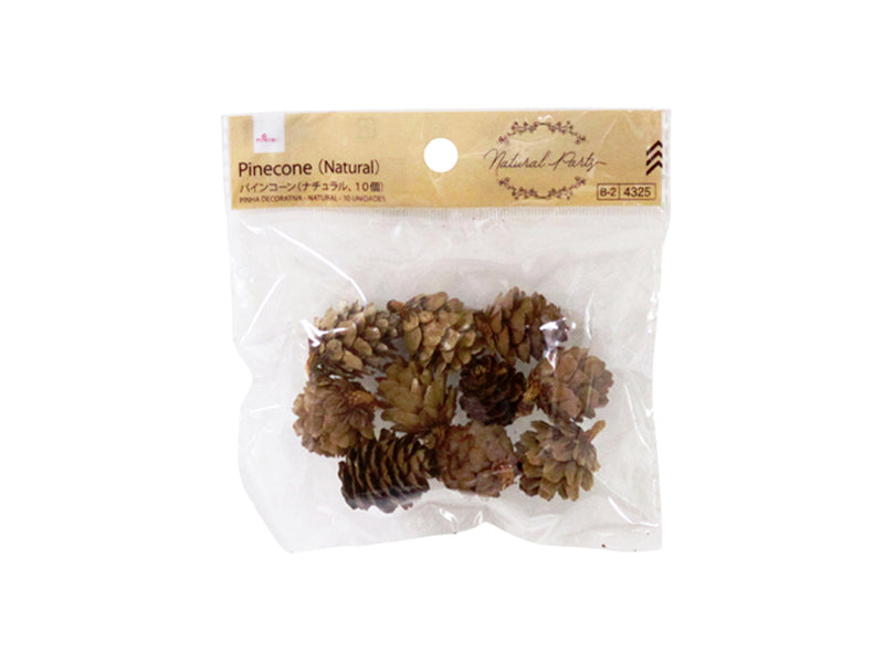 Pine Cone (Natural, 10 pieces)