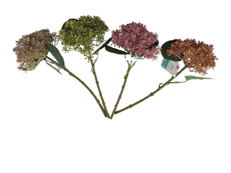 Wildflower B