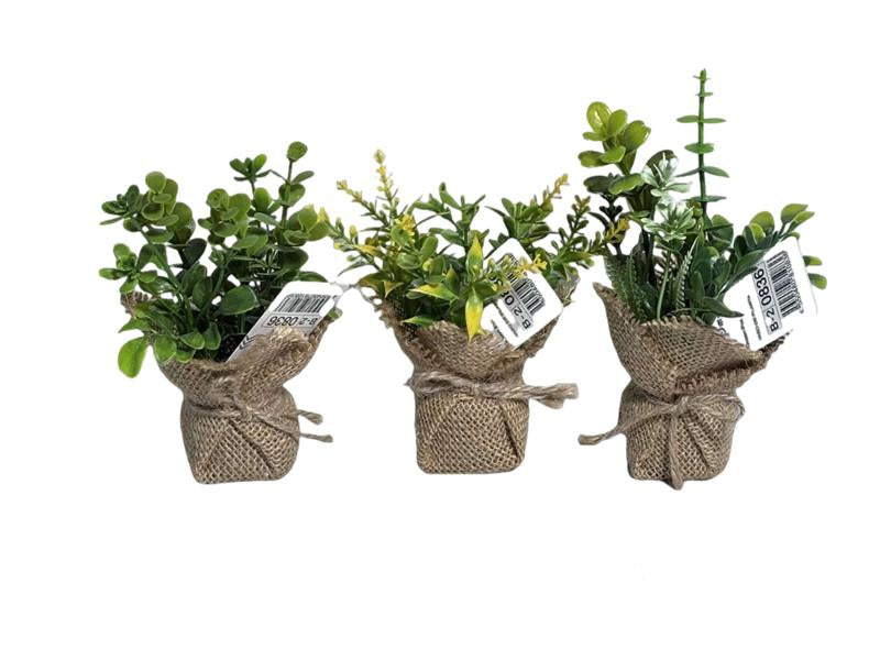 Green Pot