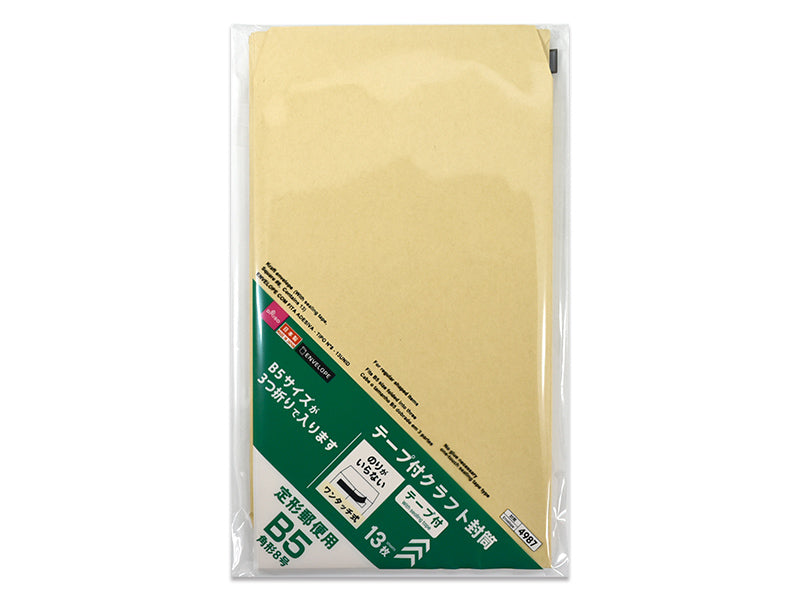 Craft Envelope (With Tape, Size 8, 13 Pieces)