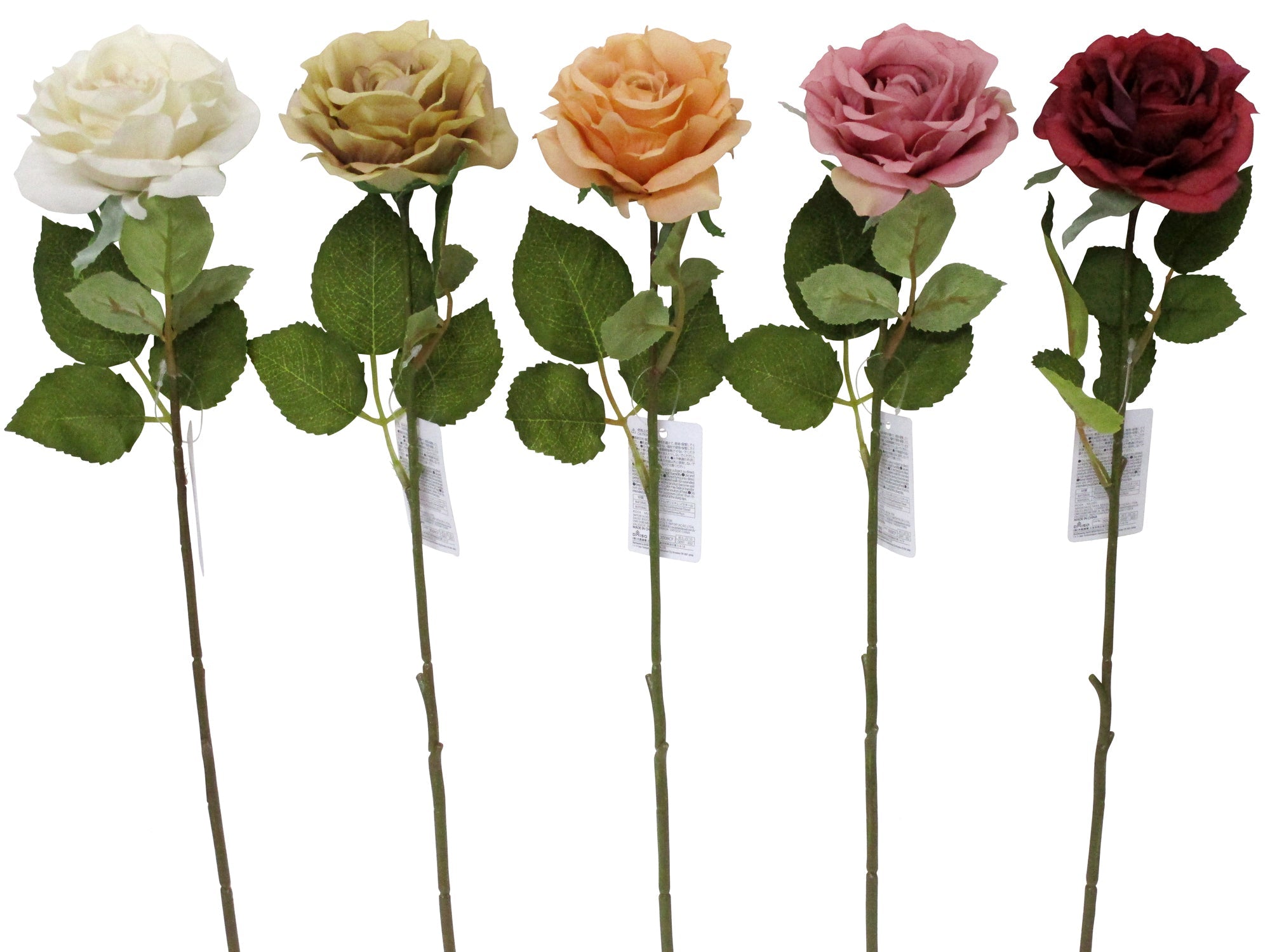 Rose (Muse)