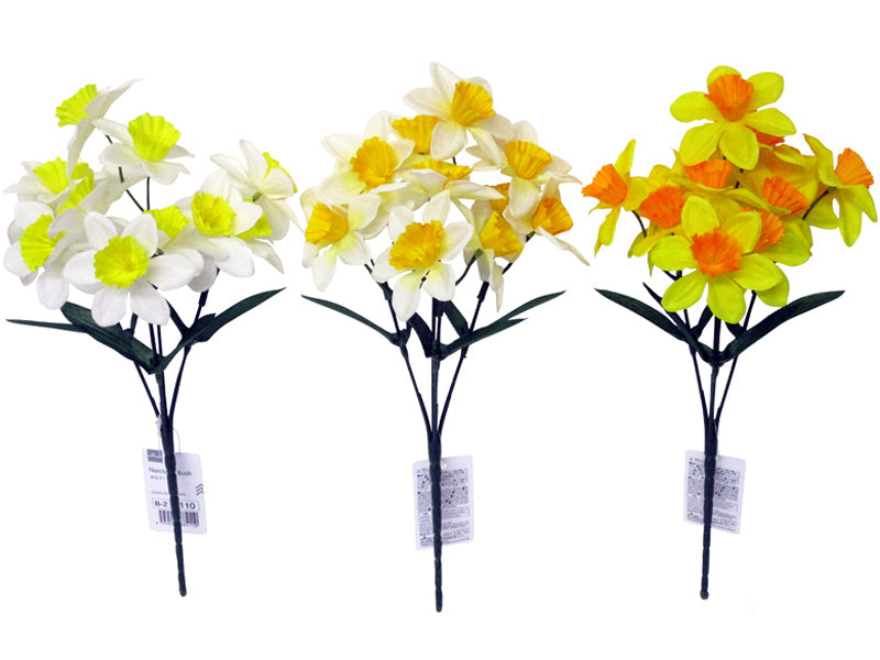 Daffodil Bush