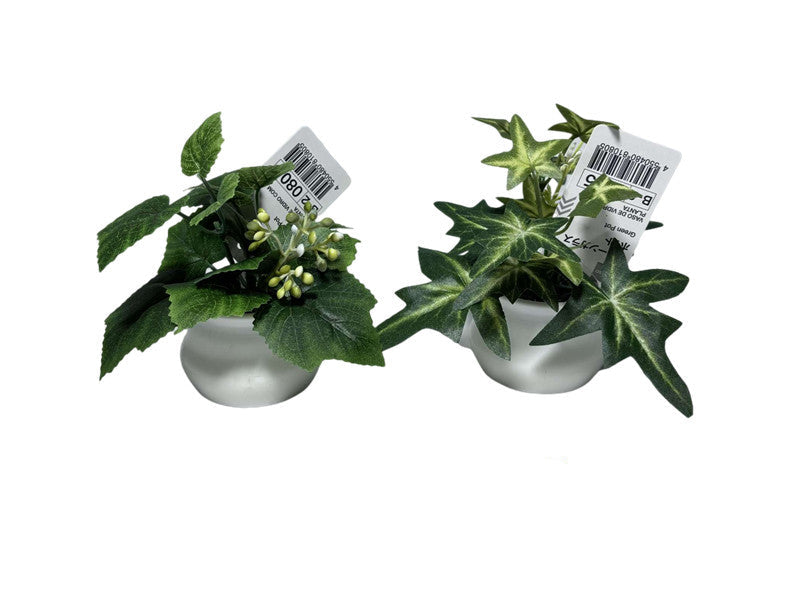 Green Pot