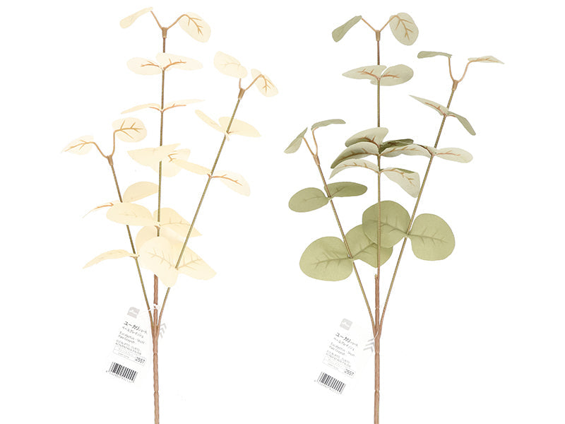 Eucalyptus (Short, Pale Grayish)