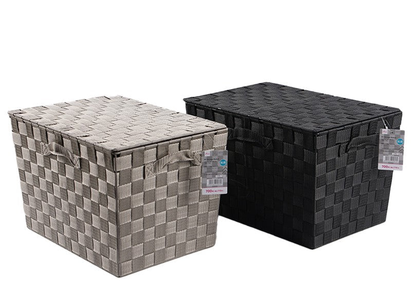 Antibacterial PP Storage Basket (Color Box Size, Lid, Black/Gray)