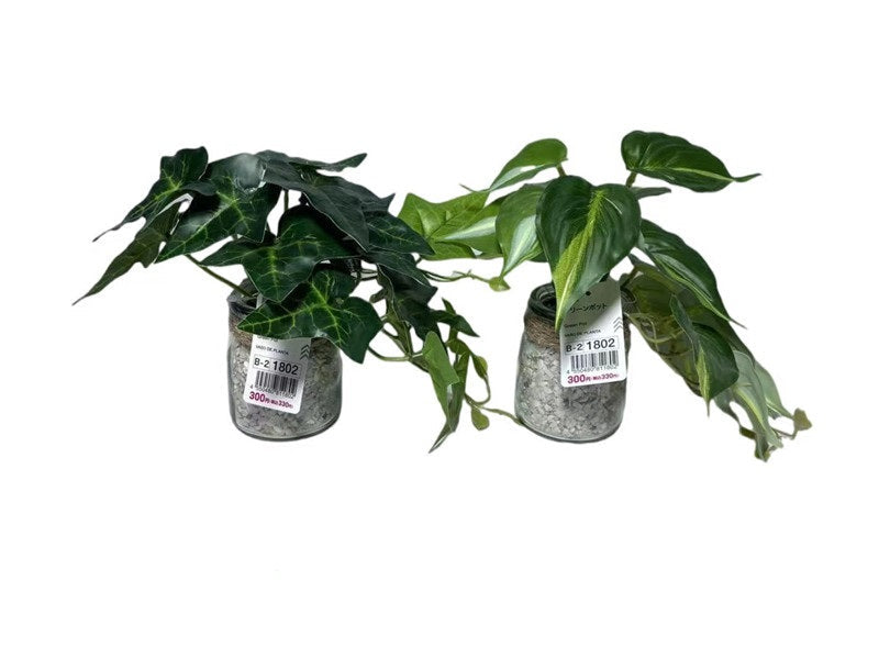 Green Pot