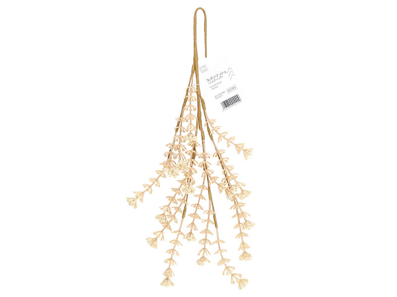 Cotton Bush (Rustic)