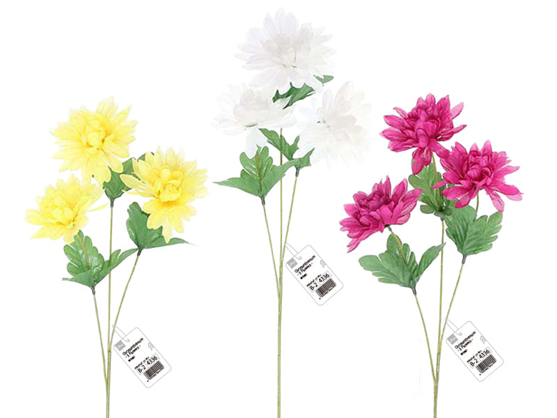 Chrysanthemum (3 Blooms)