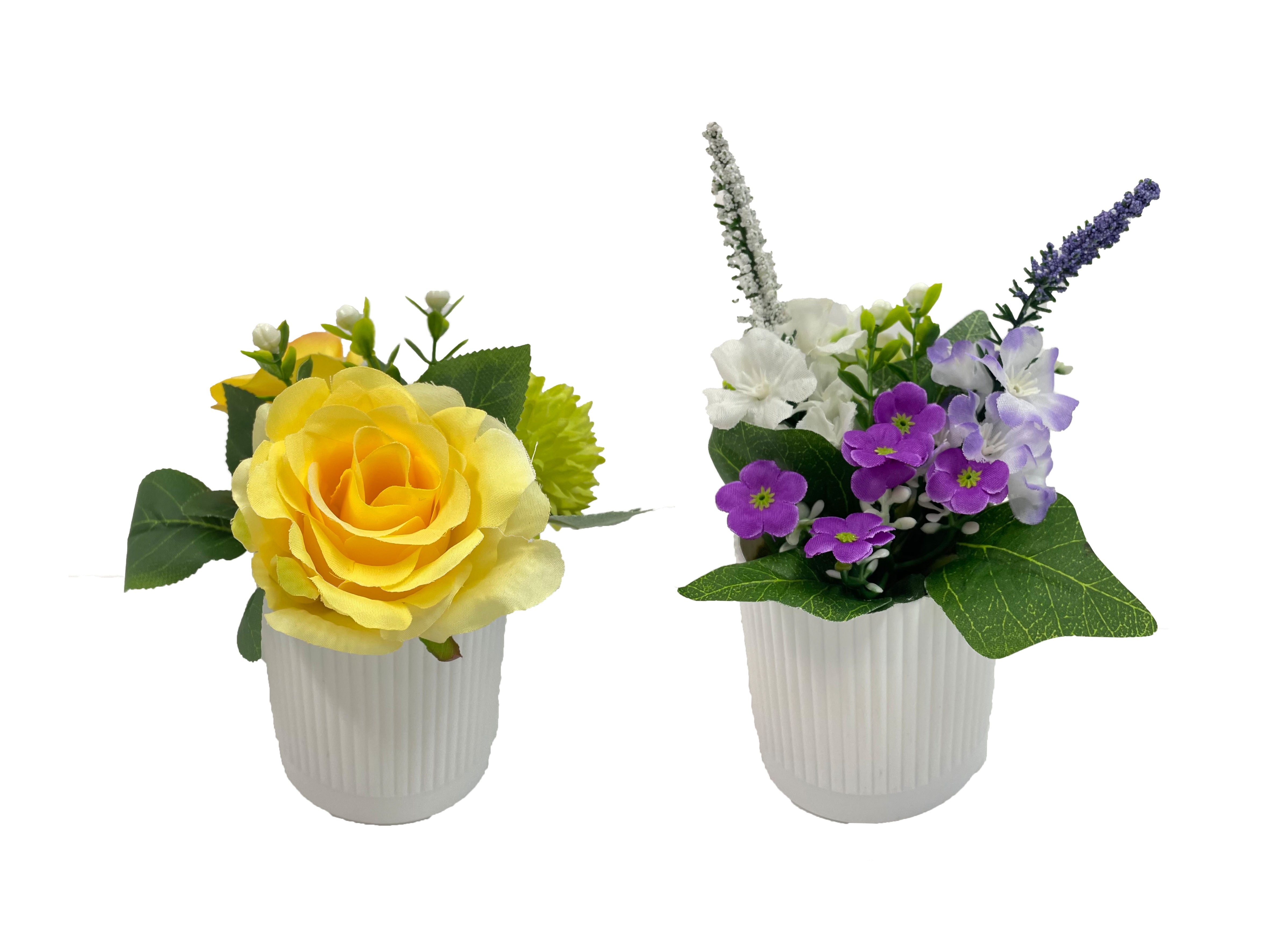 Potted Arrangement Flower
